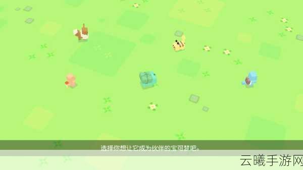 宝可梦大探险客服助力,开启你的奇幻冒险新篇章