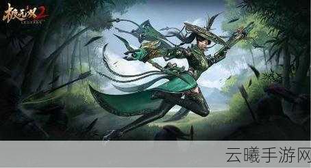 极无双2红将选择指南，谁才是你的战场灵魂伴侣？解锁全新趣味玩法！