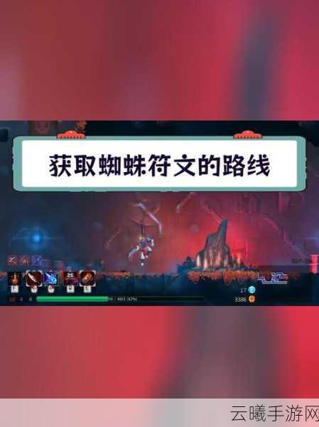 重生细胞蜘蛛符文获取攻略及趣味玩法揭秘