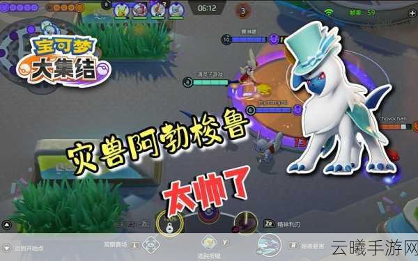 宝可梦大集结阿勃梭鲁对战道具推荐及趣味玩法揭秘