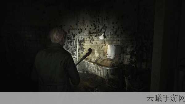 生化危机 寂静岭的恐怖游戏 恐怖生存游戏痛苦的灵魂上架steam
