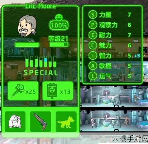 辐射481号避难所，全面攻略与趣味玩法揭秘
