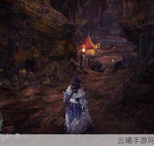 怪物猎人世界龙结晶之地全宝物位置攻略及趣味玩法揭秘