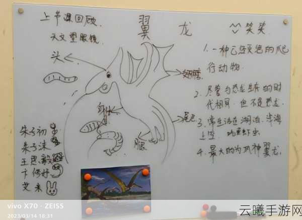 口袋妖怪之秘境寻踪,化石翼龙的起源与捕捉攻略全揭秘,探索未知的乐趣!