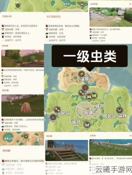 心动小镇探索指南,揭秘蓝眼灰蝶的奇幻之旅
